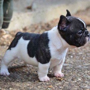 Meet your Posher, Juan